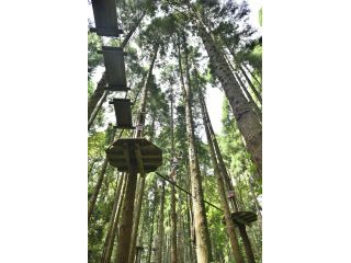 フォレストアドベンチャー・ターザニアの写真1