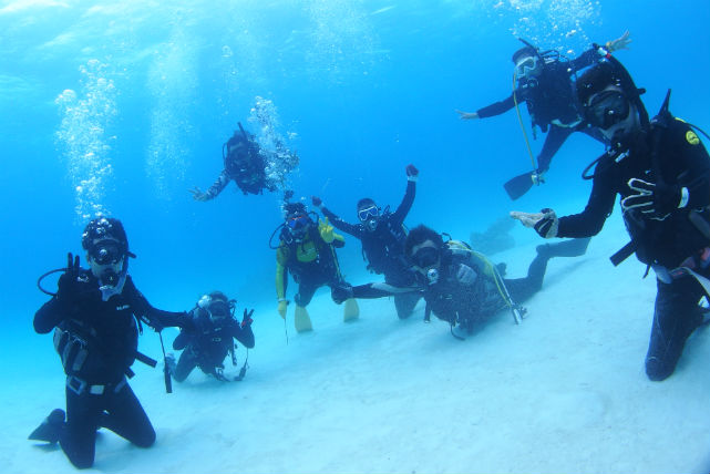 sea merrilyの写真1