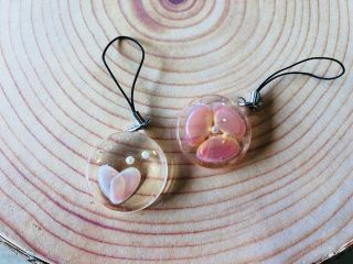 さくら貝小貝クラフト　華の写真1