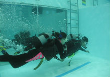 ダイビングショップ マリンの写真1