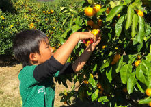高橋農園の写真1
