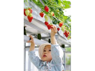 稲鍵ファームの写真1