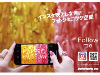 PAPEPO MUSEUM パペポミュージアムの写真1