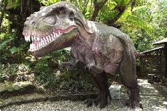 DINO恐竜PARK やんばる亜熱帯の森(御菓子御殿 名護店)の写真1