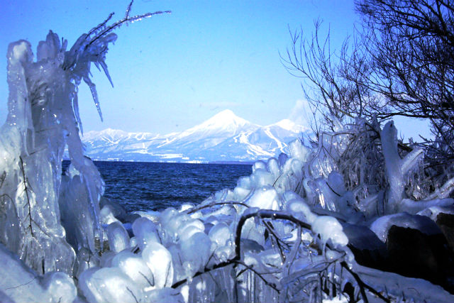 孫の手トラベルの写真1