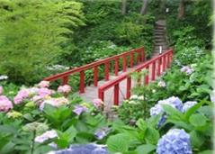 花野辺の里・しあわせの丘の写真1