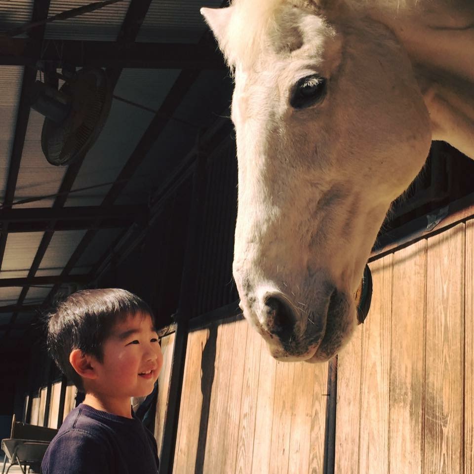 徳島乗馬倶楽部の写真1
