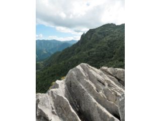 越知町観光協会の写真1