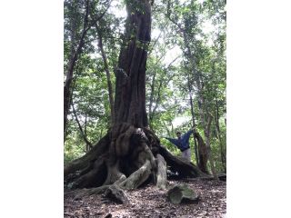 対馬観光ガイドの会やんこもの写真1