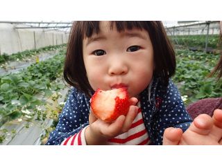 果実の国　カップルズの写真1