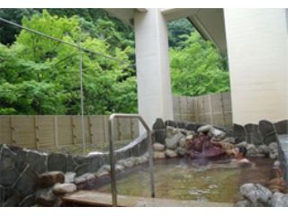 青井岳荘　青井岳温泉の写真1