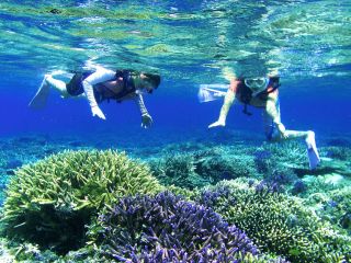 クロスリバーの写真1