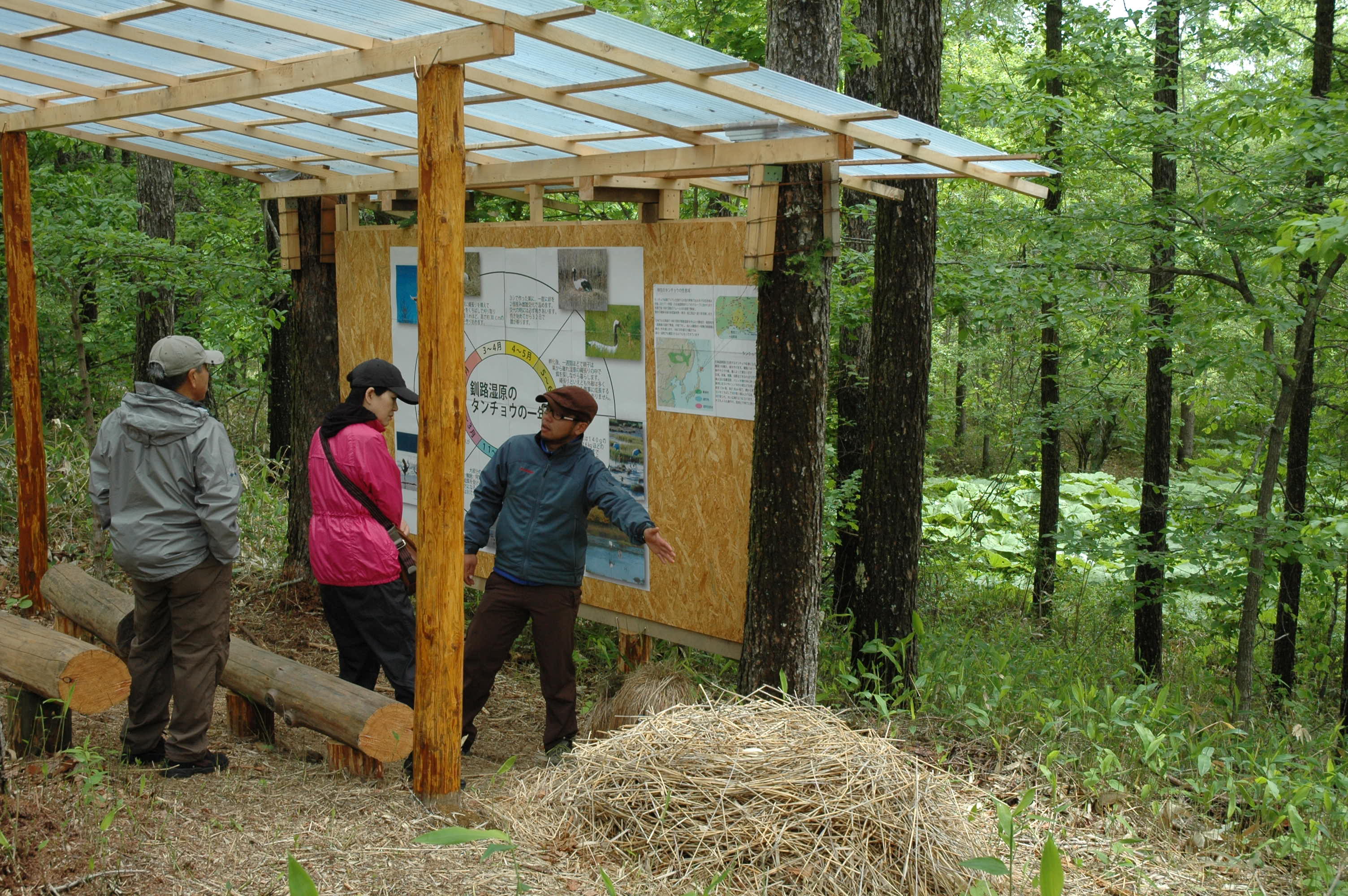 塘路ネイチャーセンターの写真1