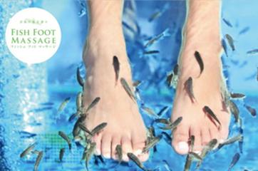 横浜大世界・フィッシュフットマッサージの写真1