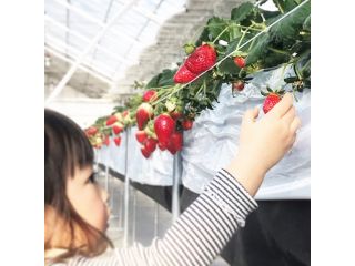 ラ・フレーズの写真1