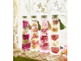 Aloha Sophiaの写真1