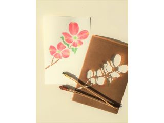 和aco@福井の写真1