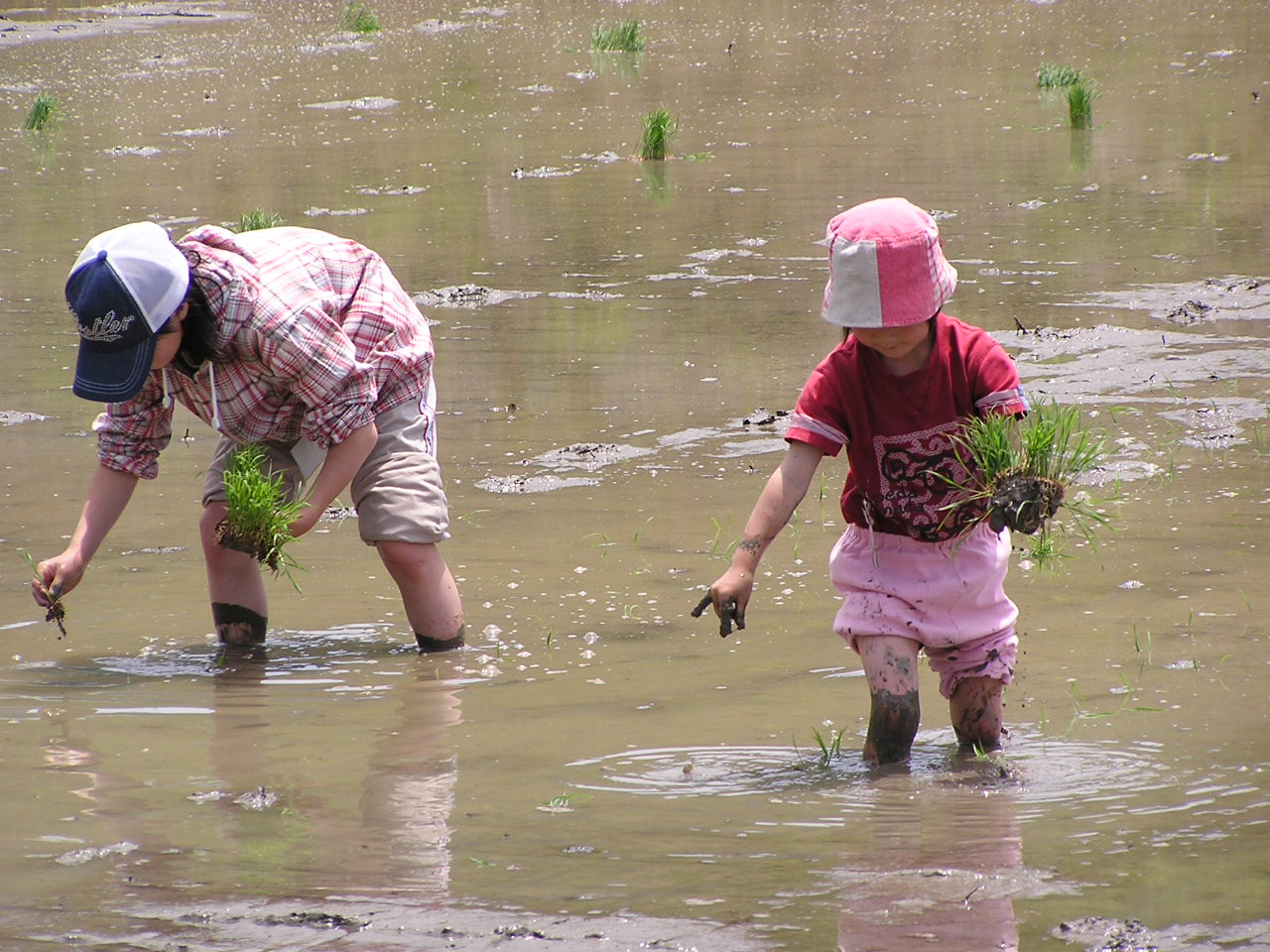 かみなか農楽舎の写真1