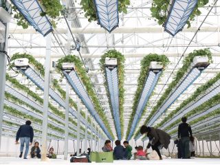 グリナリウム淡路島の写真1