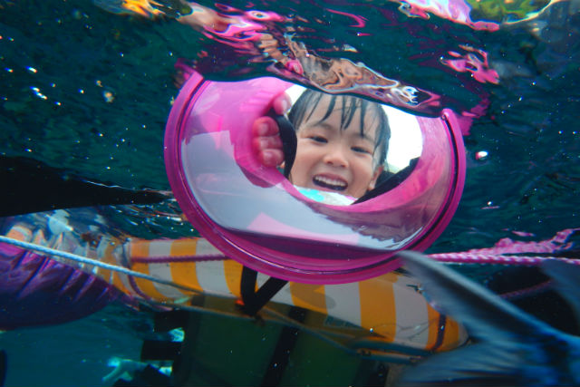 aoiダイビングサービスの写真1