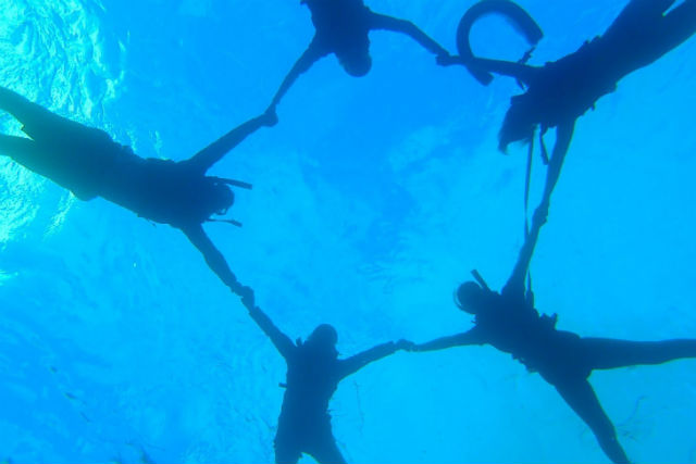 石垣島ADVENTURE PiPiの写真1