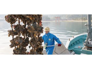 島田水産の写真1