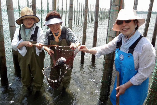 すだて実三丸の写真1