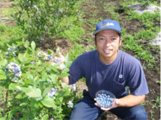 平野農園の写真1