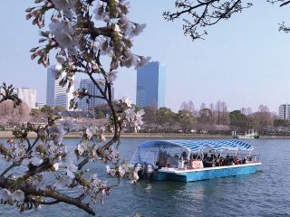 PIRATES OF OSAKAの写真1