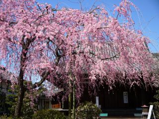 愛都交通株式会社の写真1