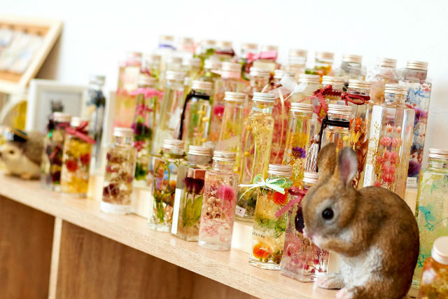 hara_peco_mori_mushiの写真1