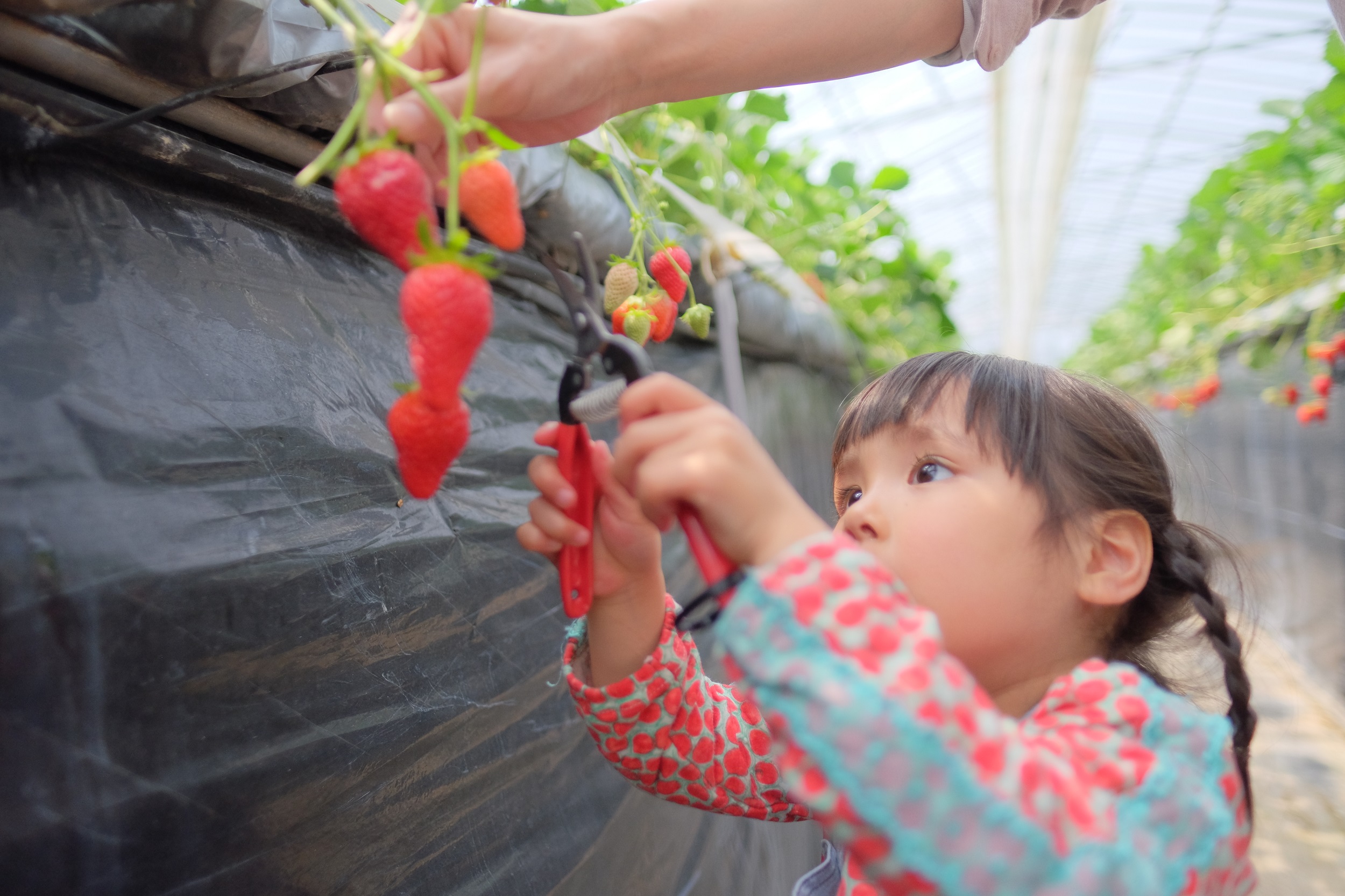 ビルネ・ラーデンの写真1