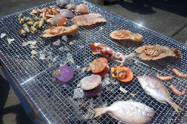 シーカヤック/SEA KAYAK 9640の写真1