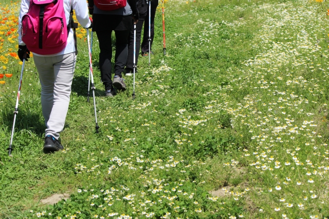 リュウナの写真1