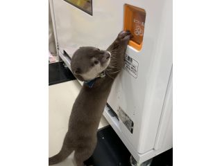 コツメイト福岡大名店の写真1