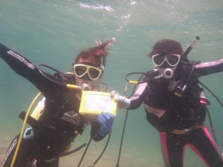 オフィス海あそび!ダイバージェントの写真1