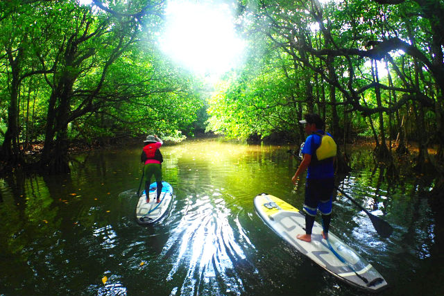 ANchan Tours 西表島の写真1
