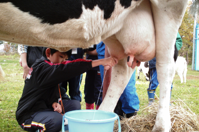 大津牧場の写真1