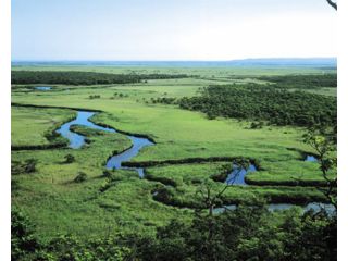釧路湿原やちの会の写真1