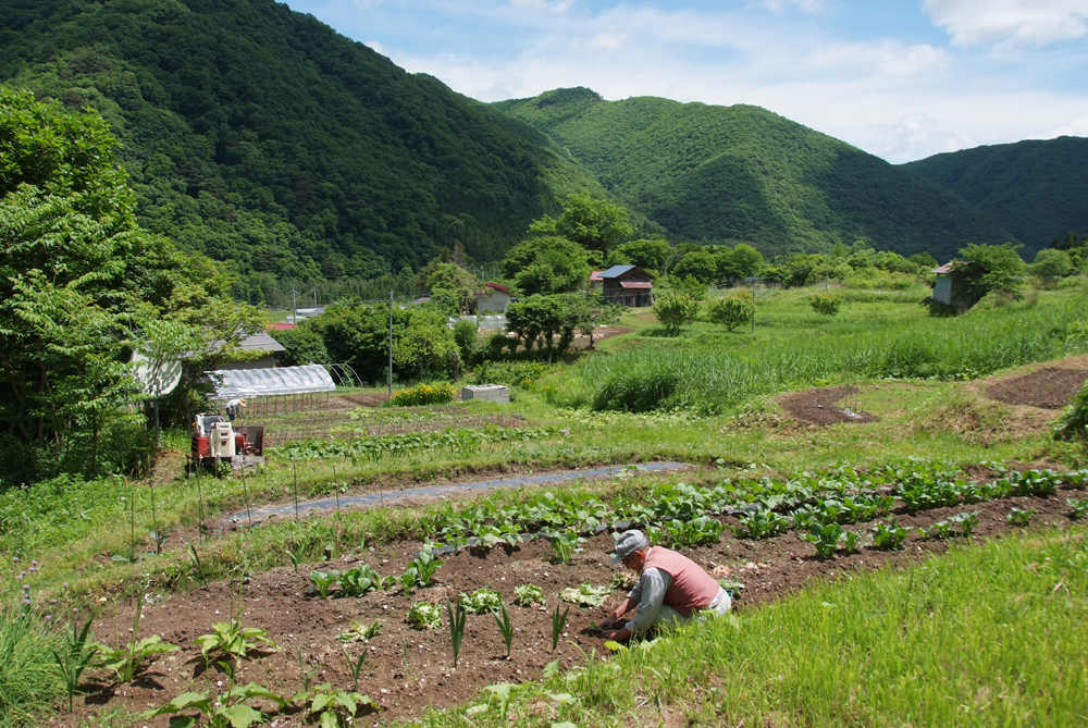 湯本写真館の写真1