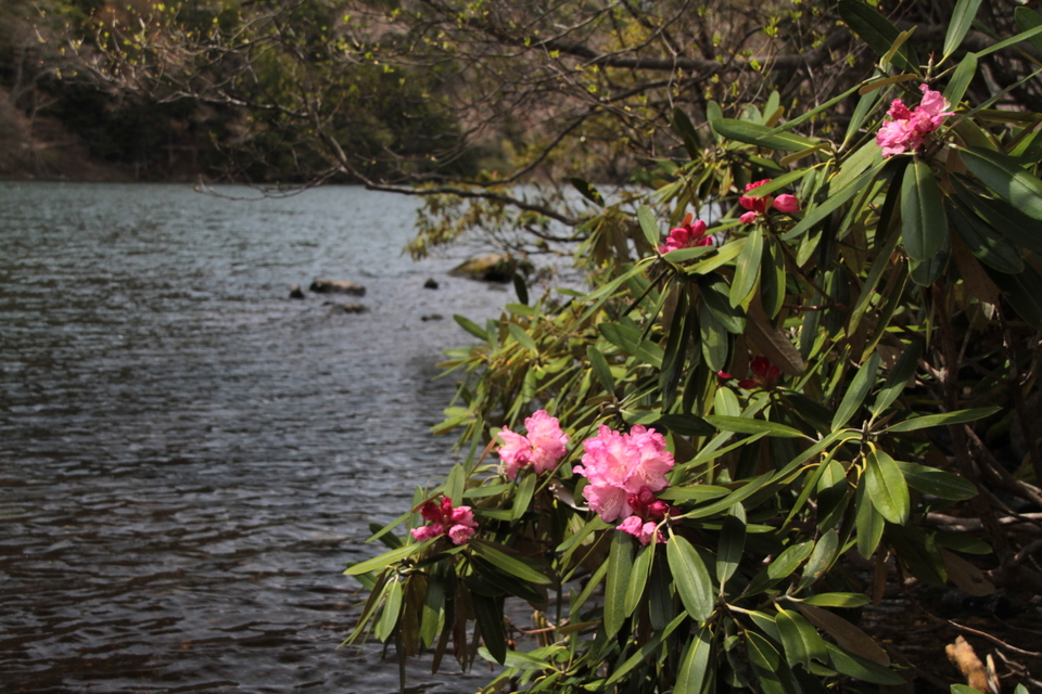 日光おでかけサロンの写真1