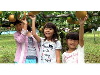 カネカ果樹園の写真1