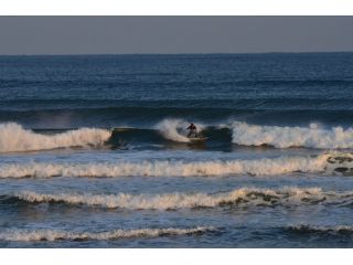 ソウルラヴ　サーフショップの写真1