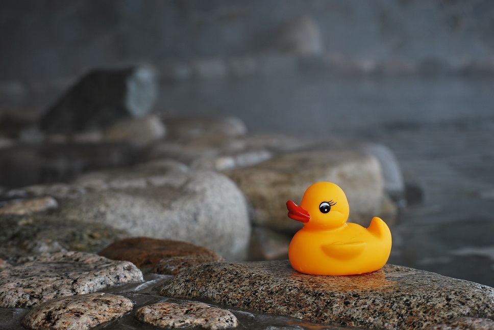 夜久野高原温泉　夜久野荘の写真1