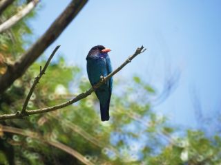 見島観光協会の写真1