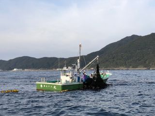 室戸市観光協会の写真1