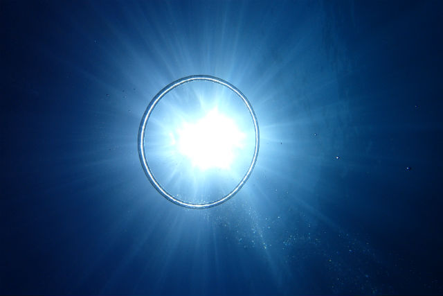 SmileyDiveの写真1