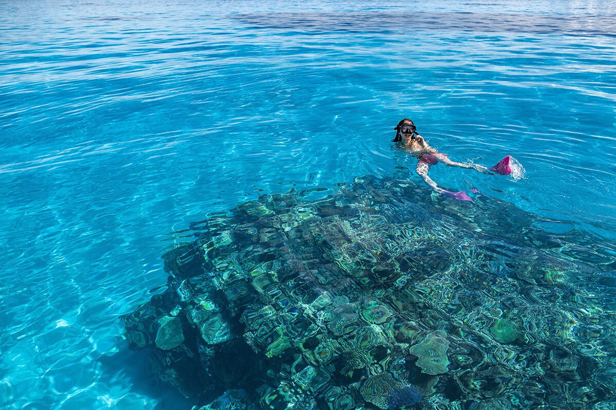 Re:Kmui　‐レプンカムイ‐の写真1