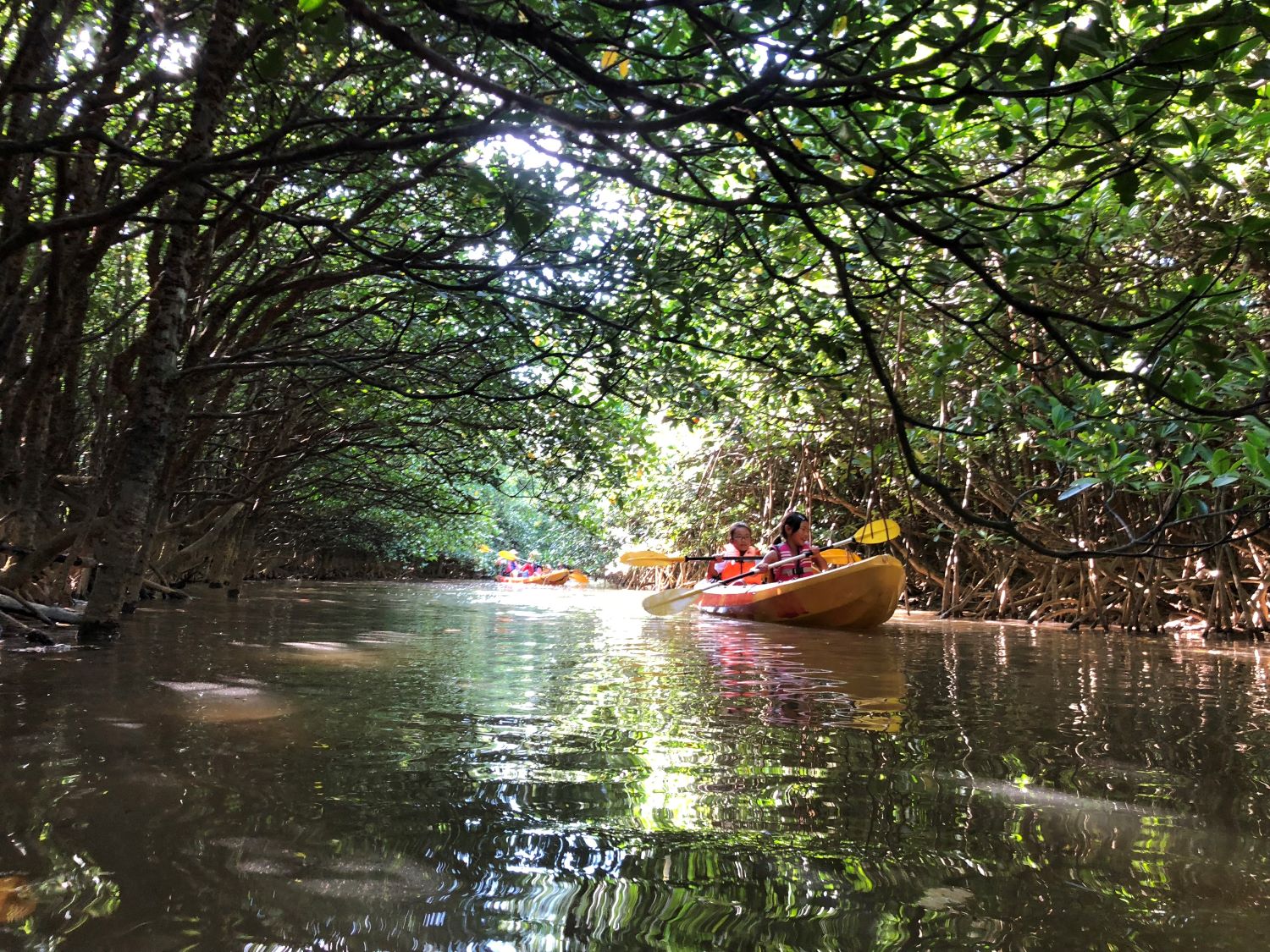 ハーモナイズ。の写真1