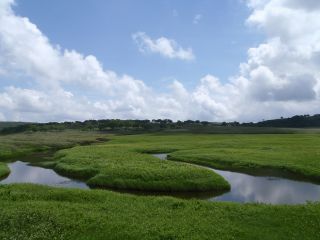 北海道ネイチャーガイドサービスカムイの写真1